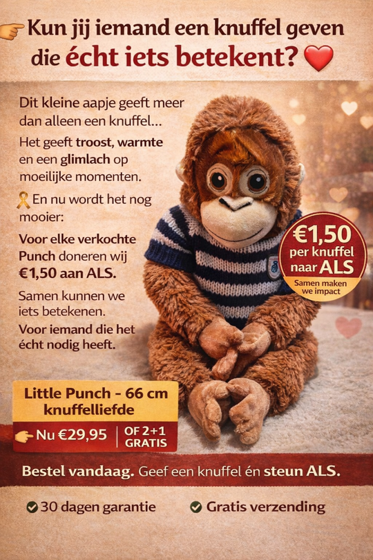 Little Punch™