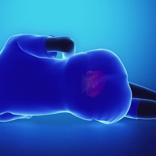 SleepAlign™ | Orthopedisch Slaapherstel Kussen